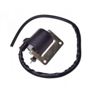 Bobina inductie Piaggio 826115