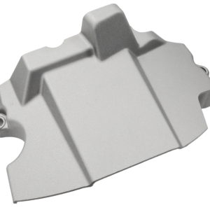 Capac motor