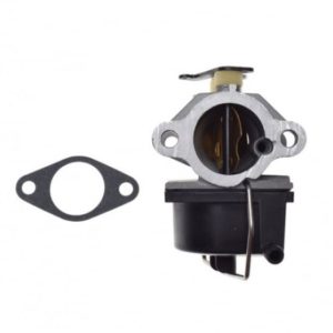 Carburator TecumSeh 640065A
