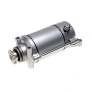 Electromotor Kingway Chopper 150 250