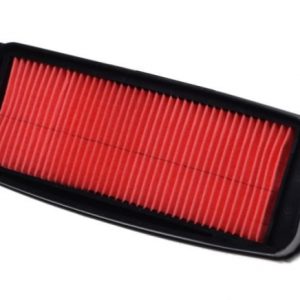 Element filtru aer Hyosung Gv 125-250cc