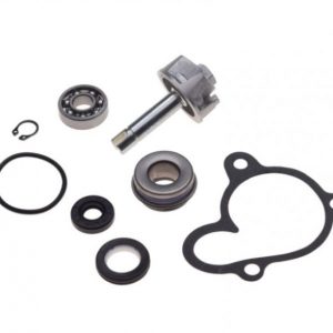 Kit pompa apa HONDA YAMAHA MAJESTY 250 00 03