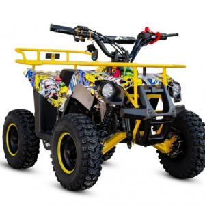 Mini atv XTR M9