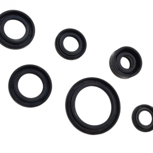 Set semeringuri motor ATV 110