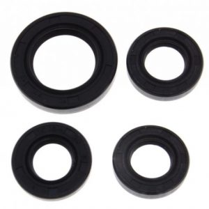 Set semeringuri motor GY6-50