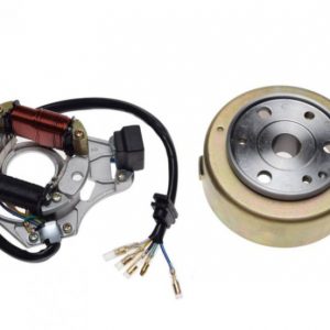Stator cu bobine