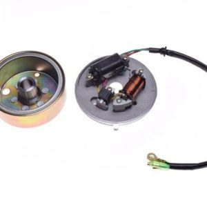 Stator si magnetou