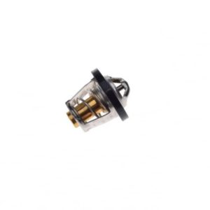 Termostat moto atv