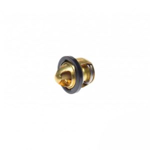Termostat motociclete